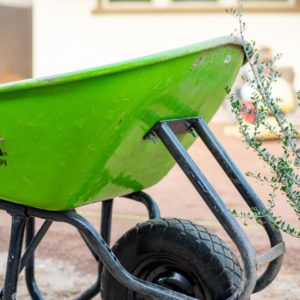 utah-professional-yard-cleanup