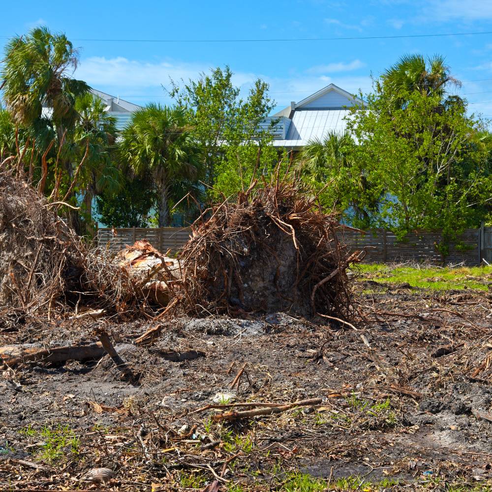 utah-lot-clearing-services utah-lot-clearing-services