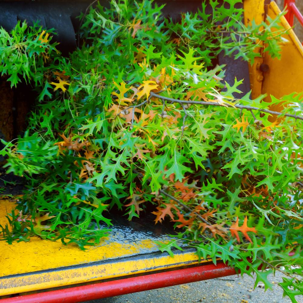 utah-tree-and-branches-hauling utah-tree-and-branches-hauling
