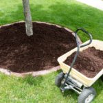 utah-tree-care-soil-conditioning utah-tree-care-soil-conditioning