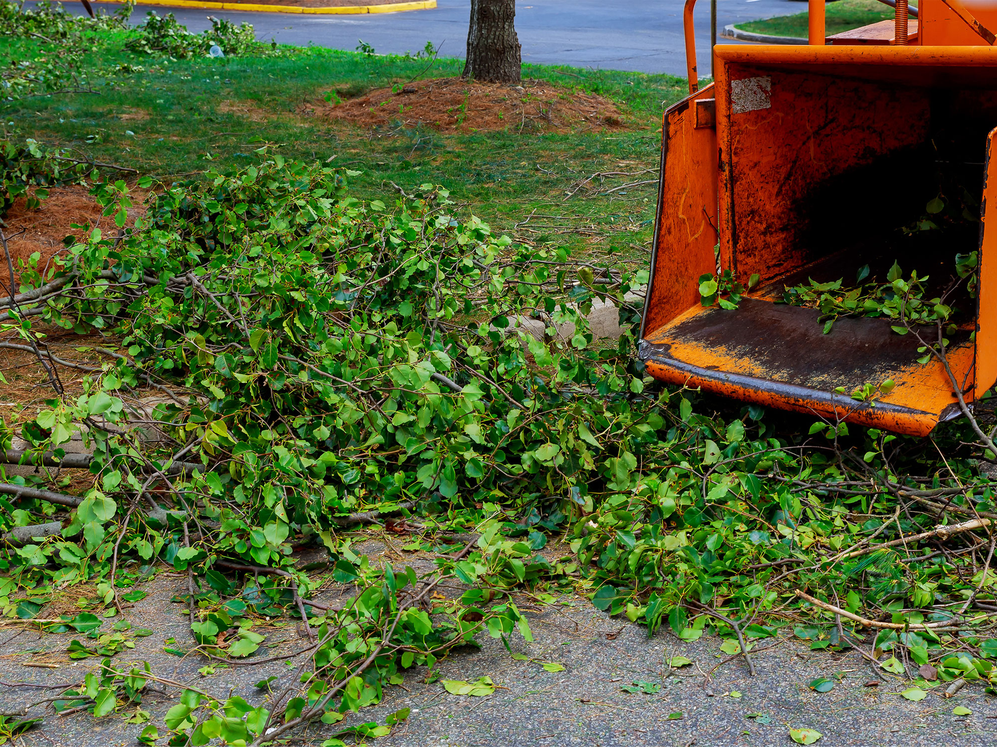 Loading yard waste and debris into a truck