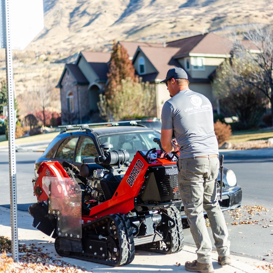 Stump grinding service in Utah